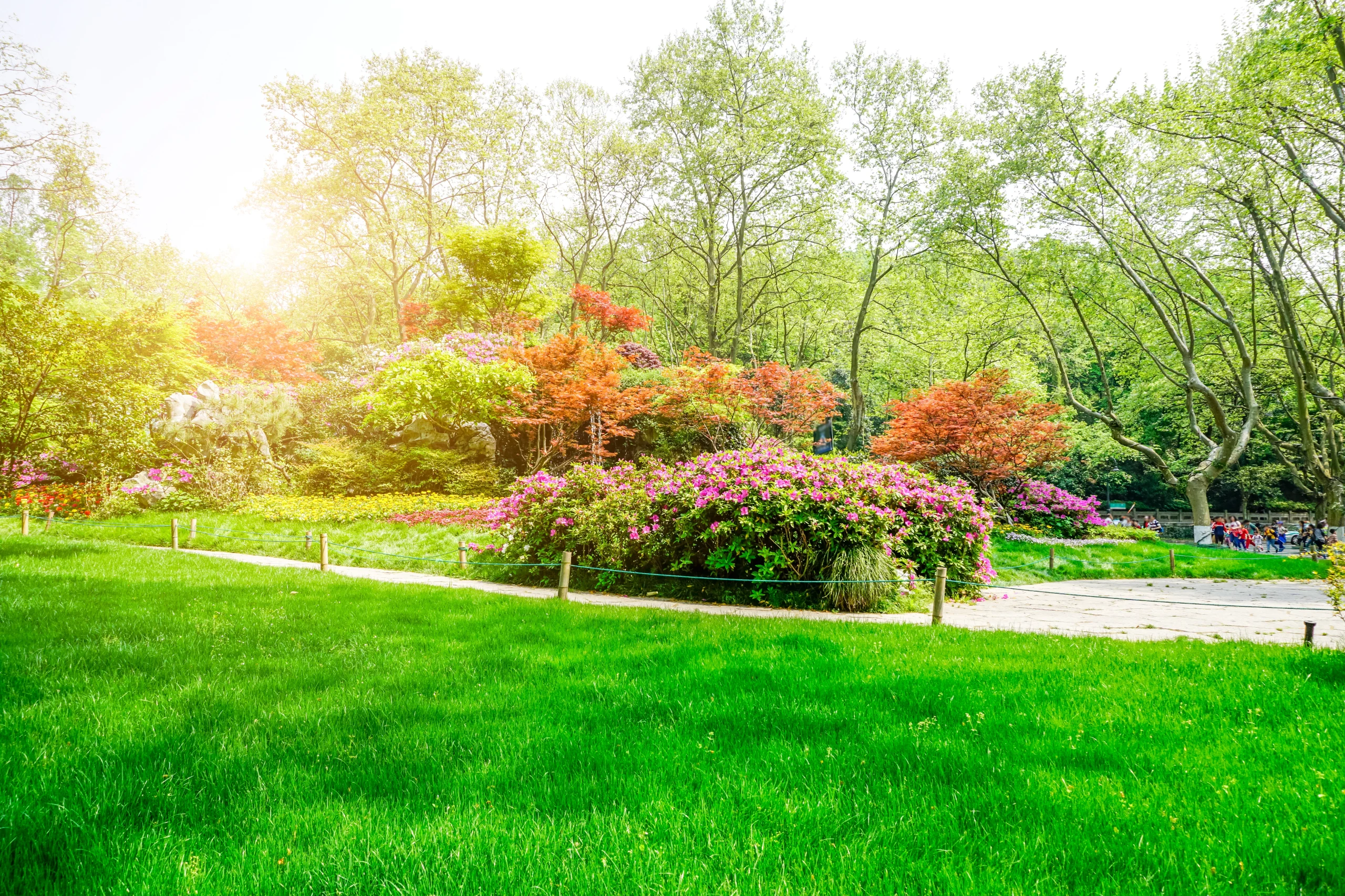 beautiful-green-park